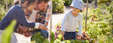 Protect your vegetable garden in a sustainable way! 🌱