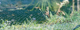 How do you set up garden netting? Tips and tricks to help you get started!