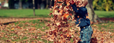 Get your vegetable garden ready for autumn and lay the foundation for a new season.