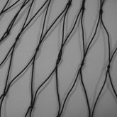 Strawberry net plus Hobio