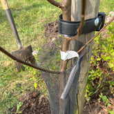 Tree tie 3.8 x 60 cm (2 pcs) Hobio