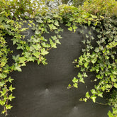 Windbreak net plus | Privacy mesh Hobio