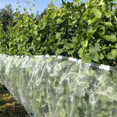 Suzuki fruit fly screen Hobio