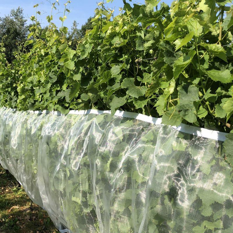 Suzuki Hobio fruit fly net with Velcro