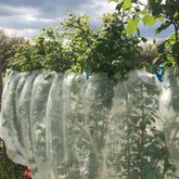 Suzuki fruit fly screen Hobio