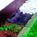 Hobio weed membrane