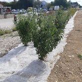 hemp landscaping fabric used for shrubs