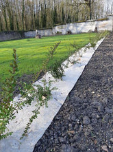 Hemp groundsheet for small shrubs