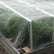 Hobio fine-mesh insect netting