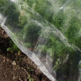 Insect netting over carrot plants