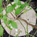 Jute mulch disc Hobio