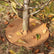 Jute mulch disc Hobio