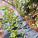 Hobio garden pruning mat