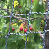 Robust Hobio garden net