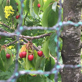 Robust Hobio garden net