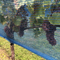 Hobio grape bird net