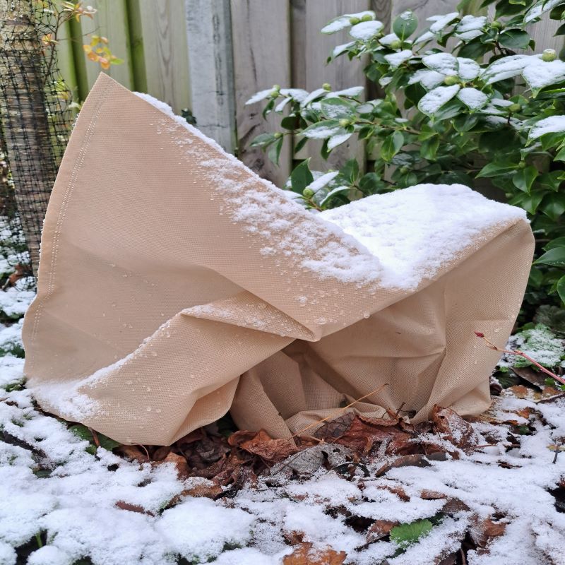 Protect your plants this winter with the Winterhoes Planten