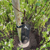 Hobio Organic Tree Trunk Protector