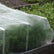 Hobio insect mesh
