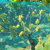 Wasp and hail protection net Hobio